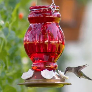 Ruby Visions Antique Glass Gravity Hummingbird Feeder